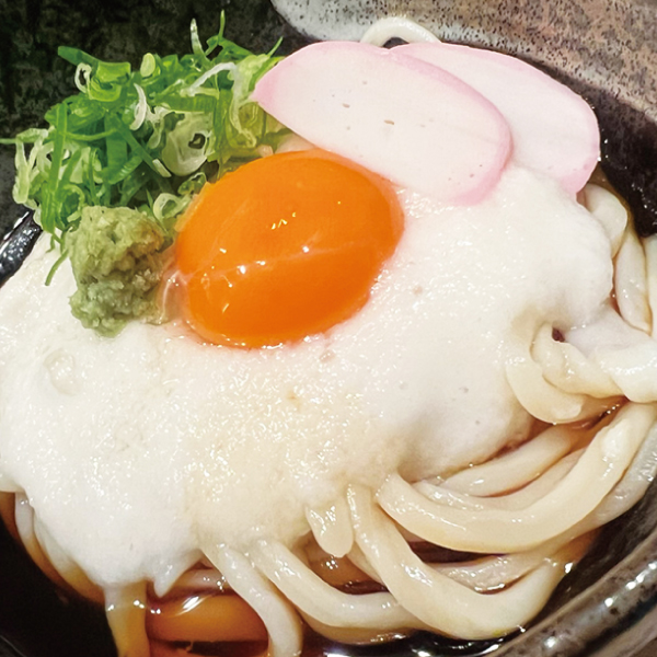 山かけうどん